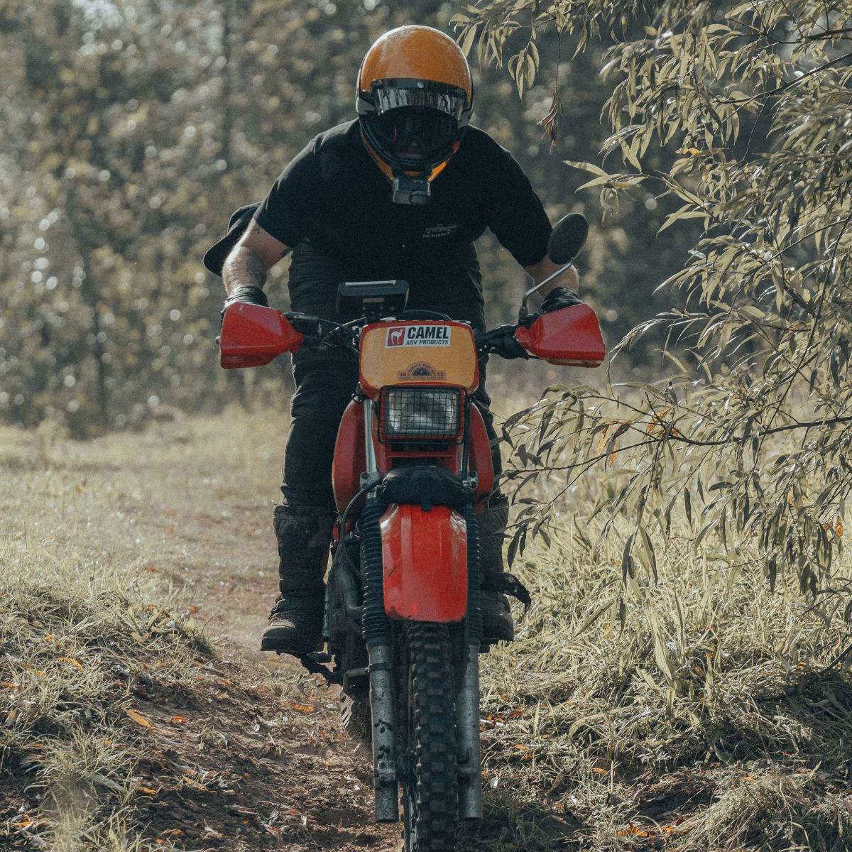 Adventure Black Tee